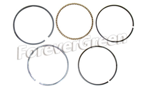 62012 Piston Rings